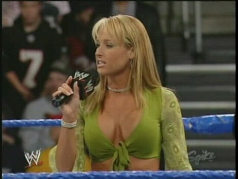 WWE Michelle McCool