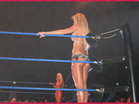 WWE Michelle McCool