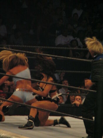WWE Michelle McCool