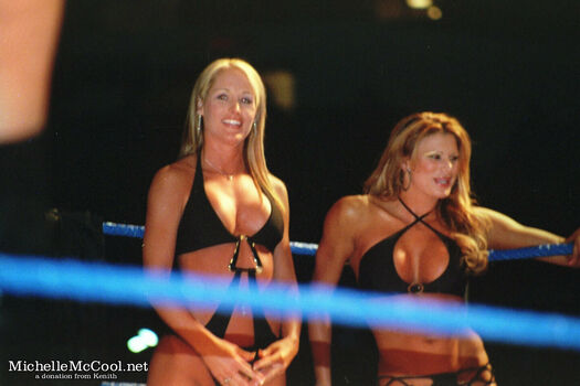 WWE Michelle McCool