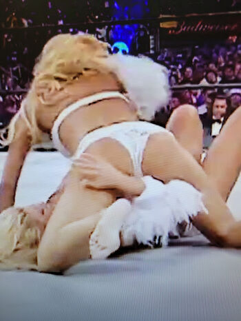 WWE Torrie Wilson