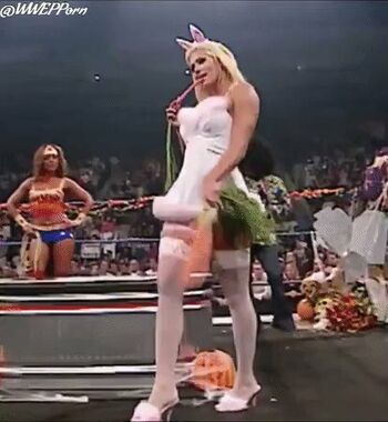 WWE Torrie Wilson