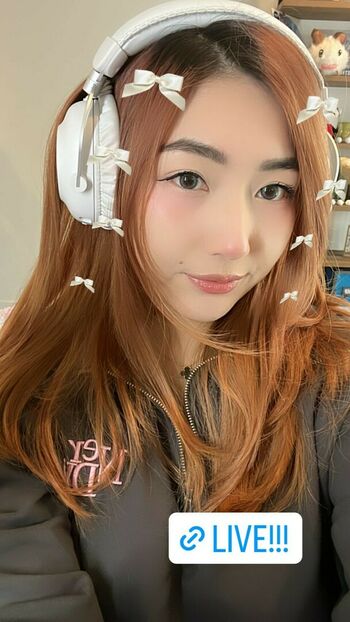 XChocobars