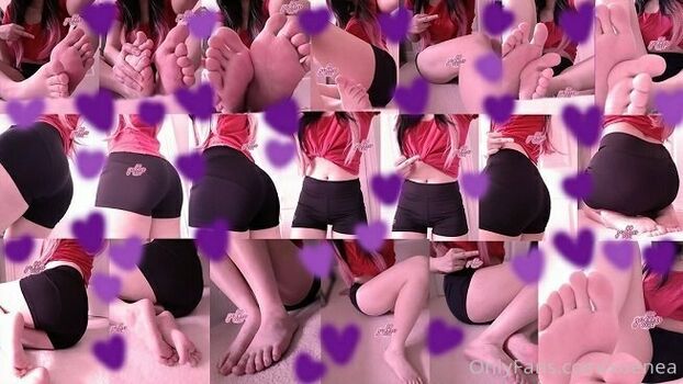 xoenea