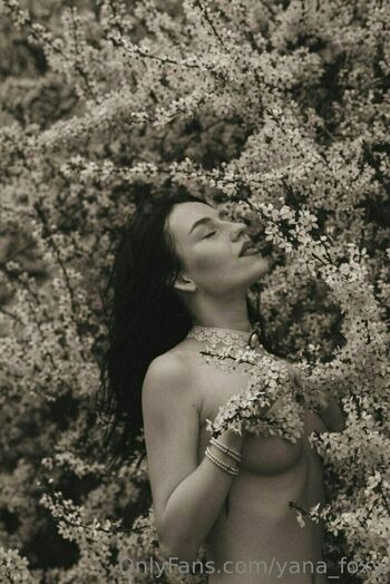 yanafoxy_free