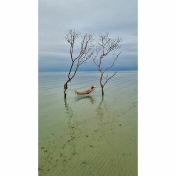 Yasmina Pani
