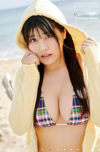 Yoshino Chitose