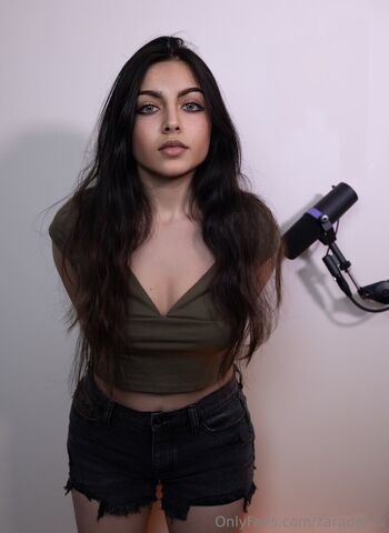 zaradar.tv
