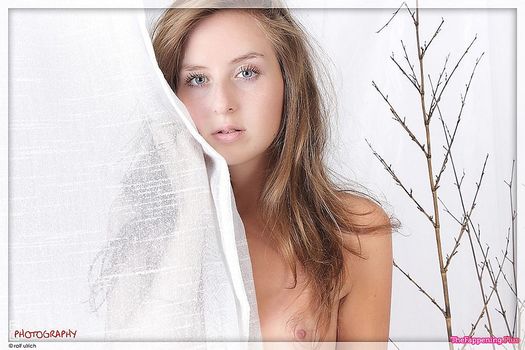 Uncategorized